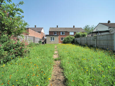 Picture 15